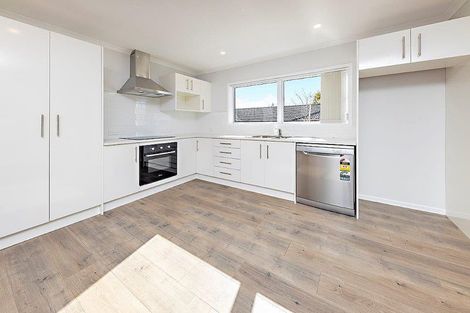 Photo of property in 81a Princes Street, Pukekohe, 2120