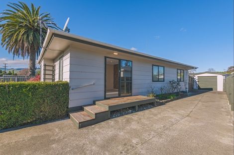 Photo of property in 79 Worcester Street, Ashhurst, 4810