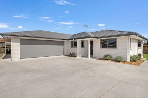 Photo of property in 137a Winchester Street, Levin, 5510