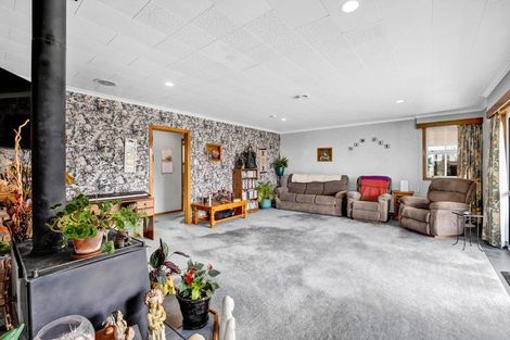 Photo of property in 24 Victoria Road, Stratford, 4391