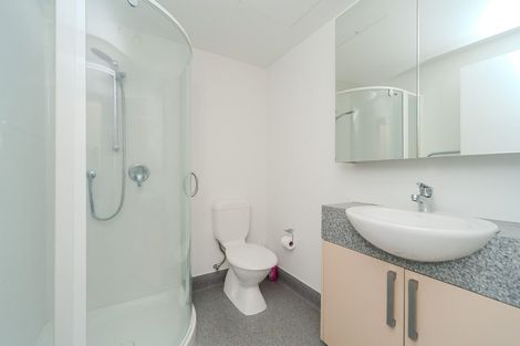 Photo of property in Dual Apartments, 406/142u Vivian Street, Te Aro, Wellington, 6011