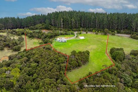 Photo of property in 60 Summer Road, Tinopai, Matakohe, 0593