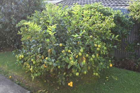 Photo of property in 38 Te Rauparaha Street, Otaki, 5512