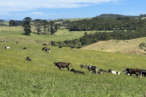 Photo of property in 870 Mangati Road, Puketotara, Te Awamutu, 3876