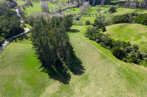 Photo of property in 42 Tirohanga Road, Kawakawa, 0282