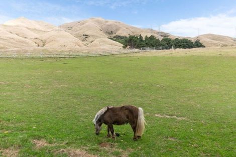 Photo of property in 355 Ohariu Valley Road, Ohariu, Wellington, 6037