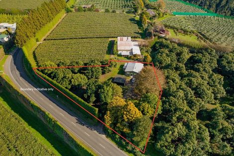 Photo of property in 472 No 3 Road, Te Puke, 3183