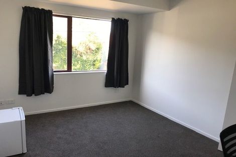 Photo of property in 11b Beaumont Street, Hamilton East, Hamilton, 3216