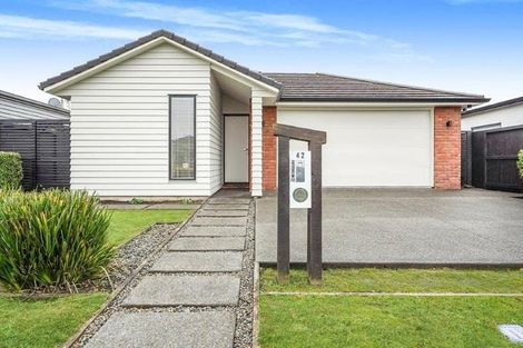 Photo of property in 42 Lulu Avenue, Chartwell, Hamilton, 3210