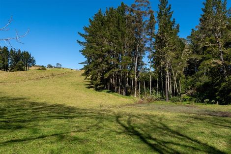 Photo of property in 42 Tirohanga Road, Kawakawa, 0282