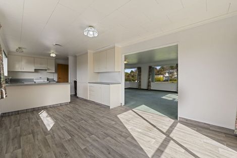 Photo of property in 51 Pembroke Road, Stratford, 4332