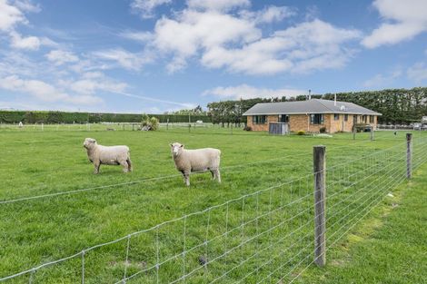 Photo of property in 224 Amberley Beach Road, Amberley, 7481