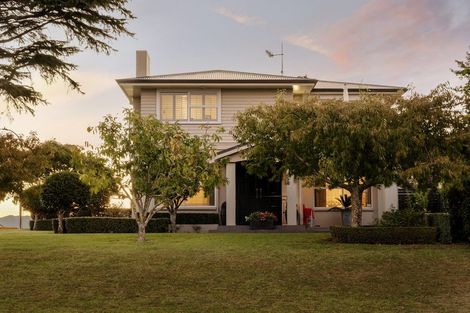 Photo of property in 75 Fifth Avenue, Tauranga, 3110