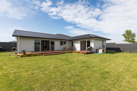 Photo of property in 93 Belgrove Drive, Waipukurau, 4200