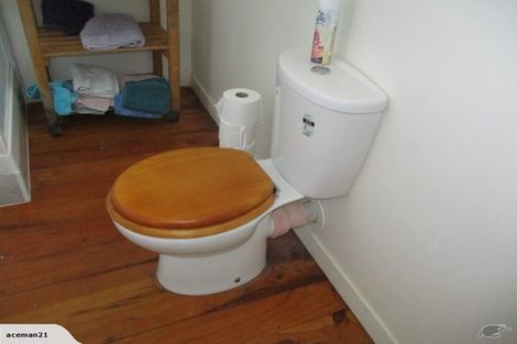 Photo of property in 202 Kirkwood Street, Thames, 3500