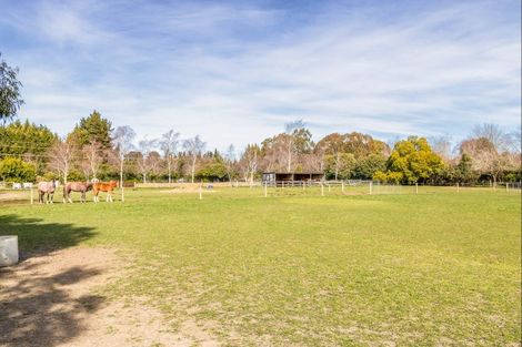 Photo of property in 638 Oxford Road, Fernside, Rangiora, 7471