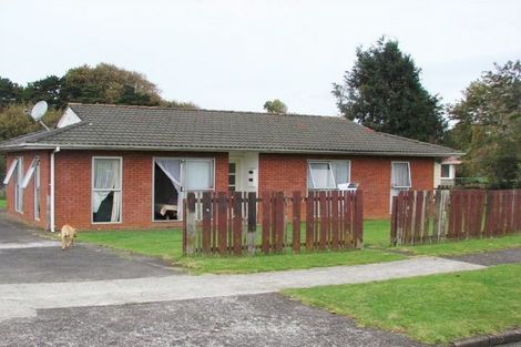 Photo of property in 20 Tasman Street, Pukekohe, 2120