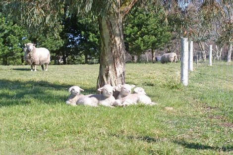 Photo of property in 31 Whitewood Crescent, West Melton, Christchurch, 7675