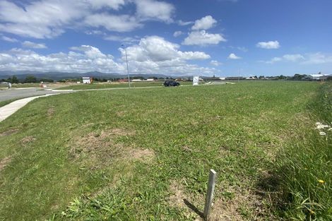 Photo of property in 53 Tainui Street, Levin, 5510