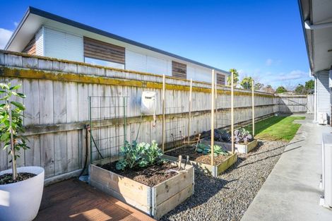 Photo of property in 78 Keeling Street, West End, Palmerston North, 4412