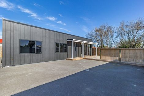 Photo of property in 45a Winchester Street, Levin, 5510