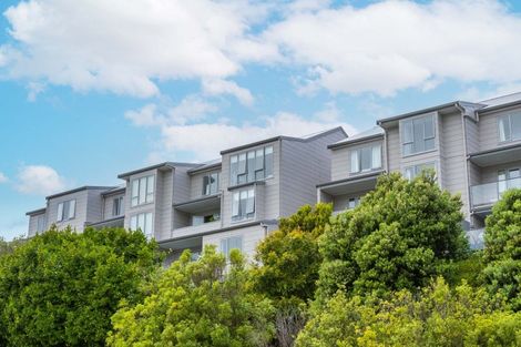 Photo of property in Grosvenor Cl, 21/6u Brown Street, Mount Cook, Wellington, 6021