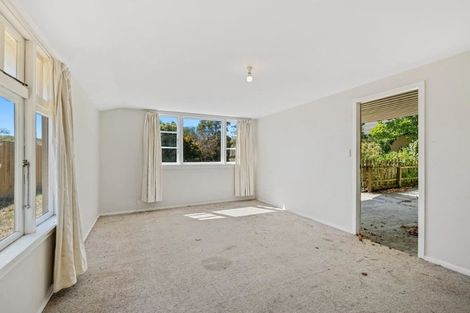 Photo of property in 57 Leslie Street, Waiau, 7332