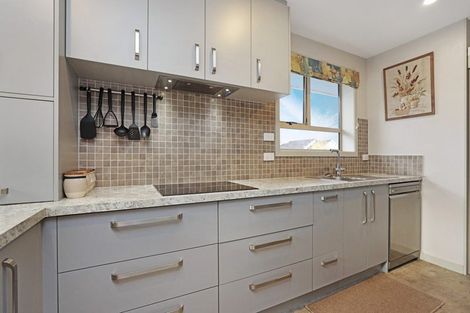 Photo of property in 60 Alford Forest Road, Allenton, Ashburton, 7700