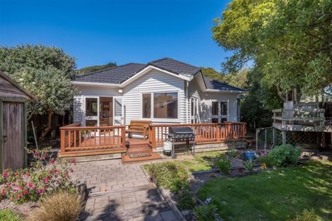 Photo of property in 217 Riverside Drive, Waterloo, Lower Hutt, 5011