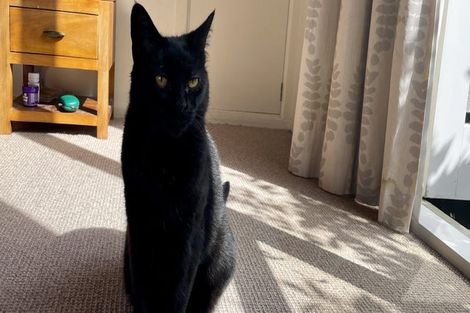 Photo of property in 73 Glen Road, Raumati South, Paraparaumu, 5032