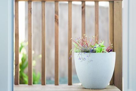 Photo of property in 9b Awatea Avenue, Paraparaumu, 5032