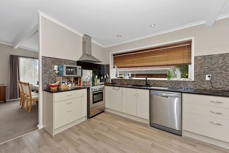 Photo of property in 6 Freemont Street, Chartwell, Hamilton, 3210