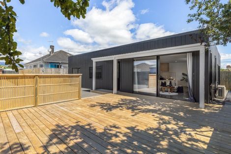 Photo of property in 45a Winchester Street, Levin, 5510