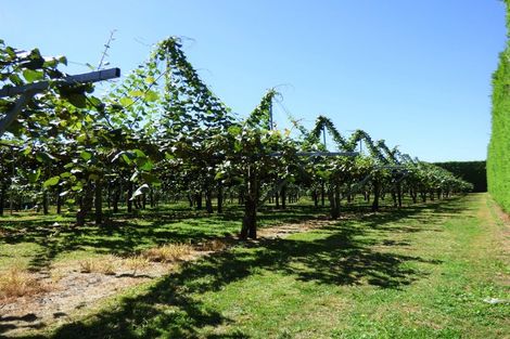 Photo of property in 266a Old Coach Road, Paengaroa, Te Puke, 3189