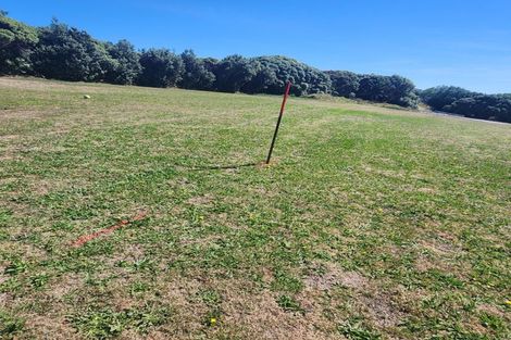 Photo of property in 161 Wairere Road, Wainui, 4010