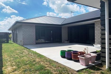 Photo of property in 41 Lulu Avenue, Chartwell, Hamilton, 3210