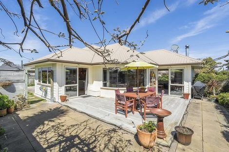 Photo of property in 33 Sherwill Street, Feilding, 4702