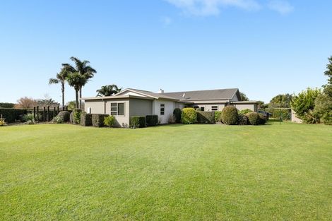 Photo of property in 39r Bradley Avenue, Pyes Pa, Tauranga, 3112