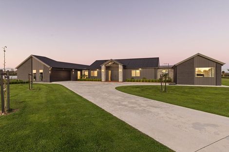 Photo of property in 1203 Camerons Line, Aorangi, Feilding, 4775