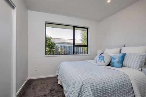 Photo of property in 214 Riverlaw Terrace, Saint Martins, Christchurch, 8022