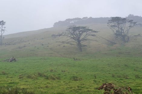 Photo of property in 289 Hokianga Harbour Drive, Omapere, Kaikohe, 0473