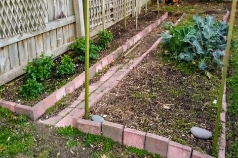 Photo of property in 244 Adelaide Road, Newtown, Wellington, 6021