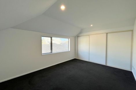 Photo of property in 17 Antrim Street, Sydenham, Christchurch, 8023