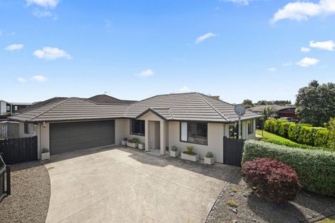 Photo of property in 42 Greig Place, Pukekohe, 2120