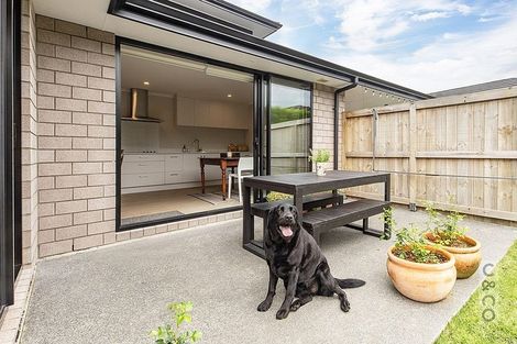 Photo of property in 17 Pitoitoi Drive, Riverhead, 0820