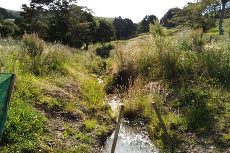 Photo of property in 910 Tangihua Road, Maungakaramea, Whangarei, 0178
