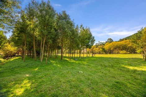 Photo of property in 426 Onamalutu Road, Onamalutu, Blenheim, 7275