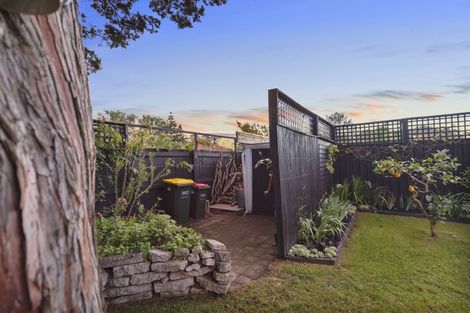 Photo of property in 14 Fergusson Street, Hamilton East, Hamilton, 3216