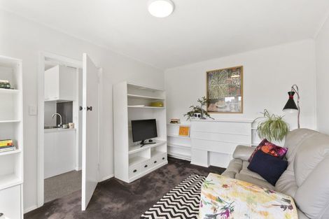 Photo of property in 37 Durham Street, Aro Valley, Wellington, 6021