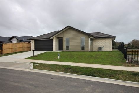 Photo of property in 25 Maggie Place, Chartwell, Hamilton, 3210